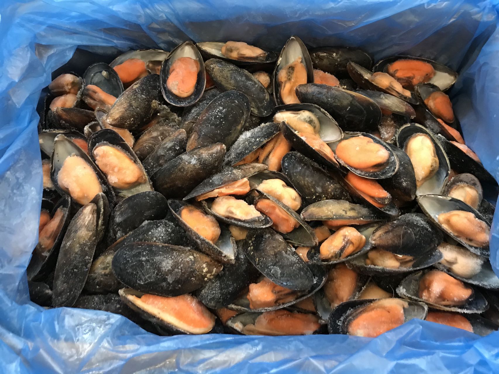 COZZE1/2 GUSCIO NERE 半壳黑淡菜40/60 CONG.9KG